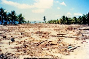 bencana alam tsunami ende