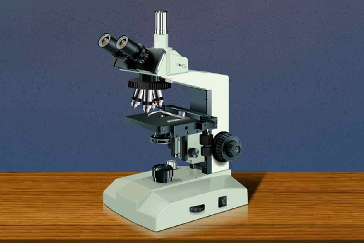 Light microscope