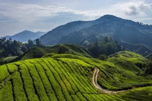 tempat wisata di malaysia yang paling asyik