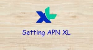 cara setting apn xl